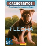 Flecha