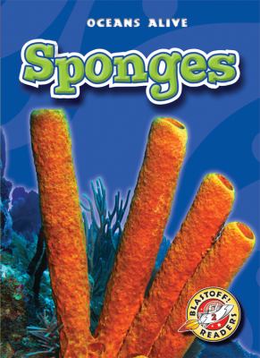 Sponges