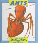 Ants