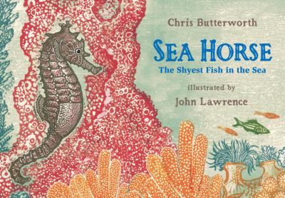 Sea horse : the shyest fish in the sea