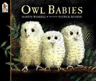 Owl babies