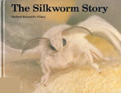 The silkworm story