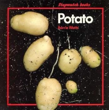 Potato