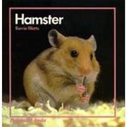 Hamster