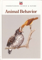 Animal behavior.