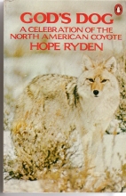 God's dog : a celebration of the North American coyote