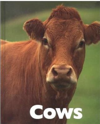 Cows