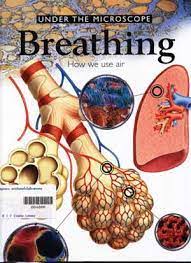 Breathing : How we use air