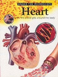 Heart : How the blood gets around the body