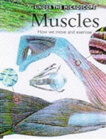 Muscles : How we move and exercise