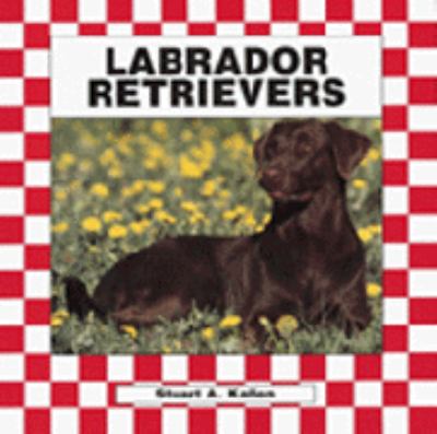 Labrador retrievers