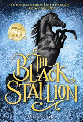 The black stallion.