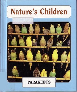 Parakeets