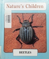 Beetles