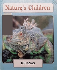 Iguanas