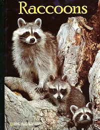 Raccoons