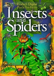 Insects and spiders