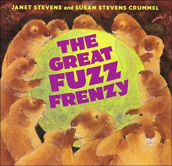 The great fuzz frenzy