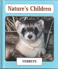 Ferrets