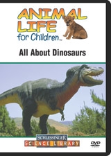 All about dinosaurs.