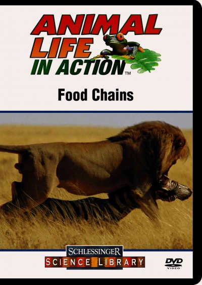 All about food chains.