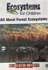 All about forest ecosystems