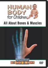 All about bones and muscles