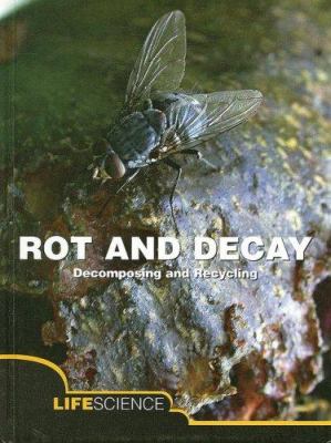 Rot and decay : decomposing and recycling