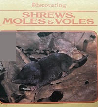 Discovering shrews, moles and voles