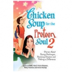 Chicken soup for the preteen soul 2 : Stories about facing challenges, realizing dreams and making a difference
