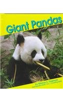 Giant Pandas