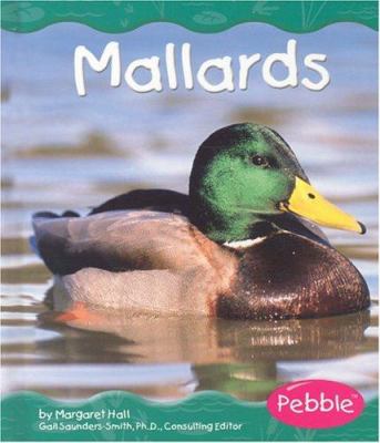 Mallards