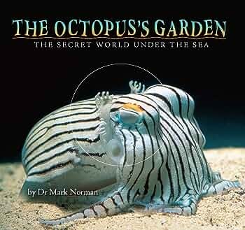 The octopus's garden : The secret world under the sea