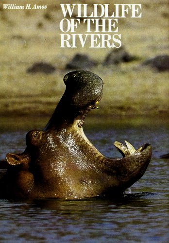 Wildlife of the rivers.