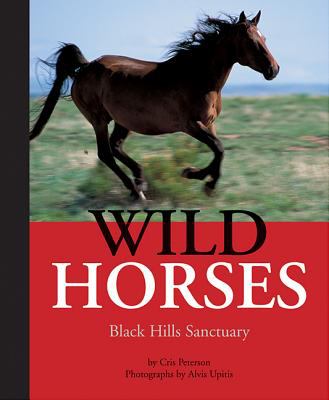 Wild horses / : Black Hills Sanctuary