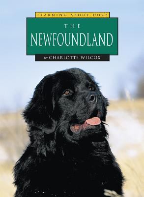 The Newfoundland