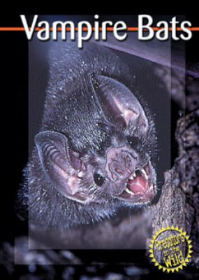 Vampire bats