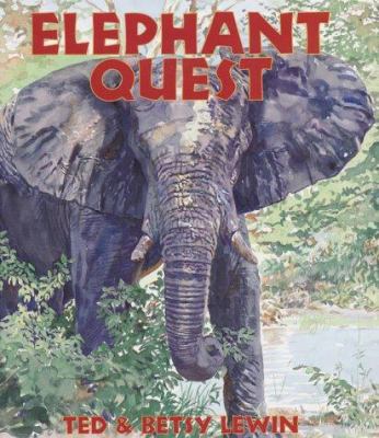 Elephant quest