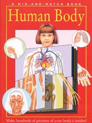 Human body