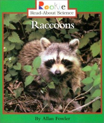 Raccoons