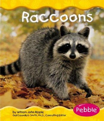 Raccoons