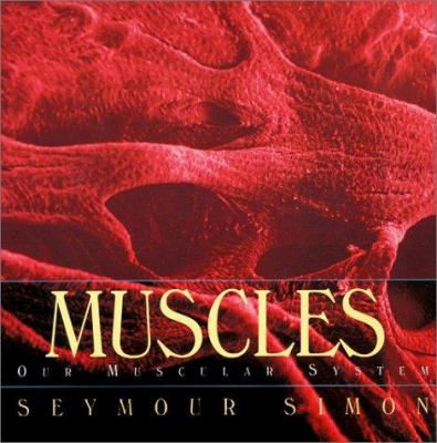 Muscles : our muscular system