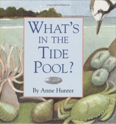 What's in the tide pool?