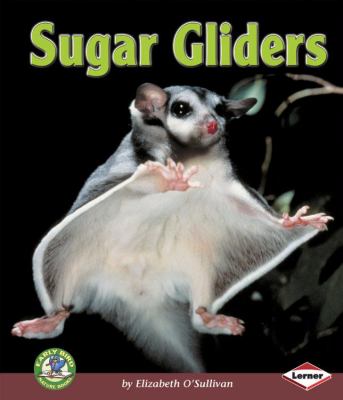 Sugar gliders