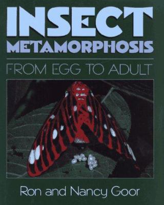 Insect metamorphosis : from egg to adult