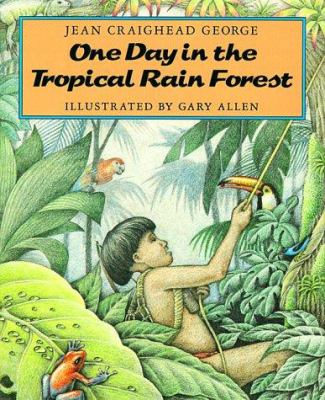 One day in the tropical rain forest