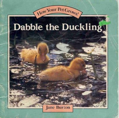 Dabble the duckling