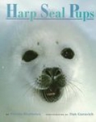 Harp seal pups