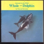 Whale and dolphin