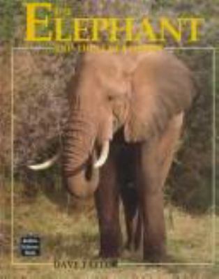 The elephant and the scrub forest